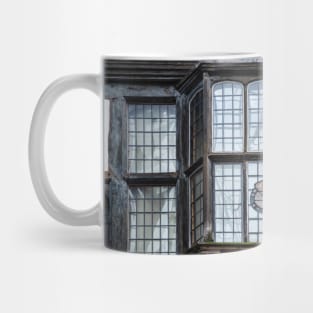 What a Pane Mug